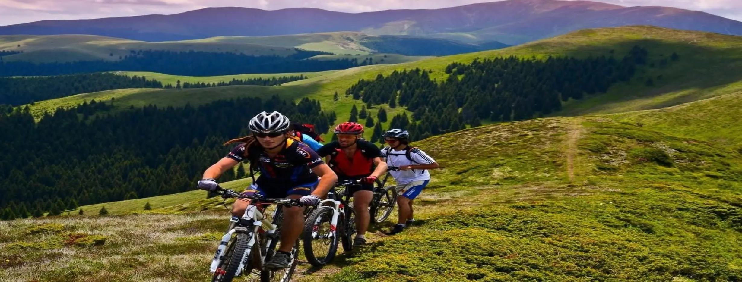 Image for Biking Tour